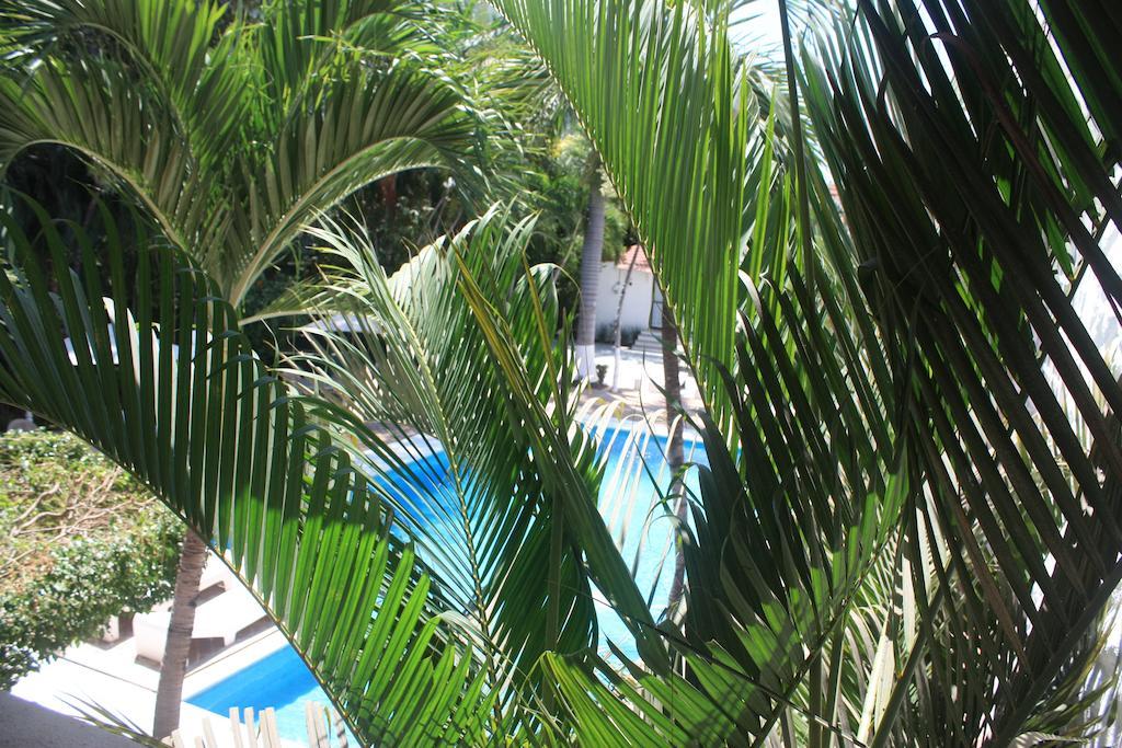 Hotel Olinalá Diamante Acapulco Habitación foto